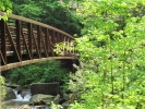 PICTURES/Keymoor Trail - New River Gorge/t_Bridge.jpg